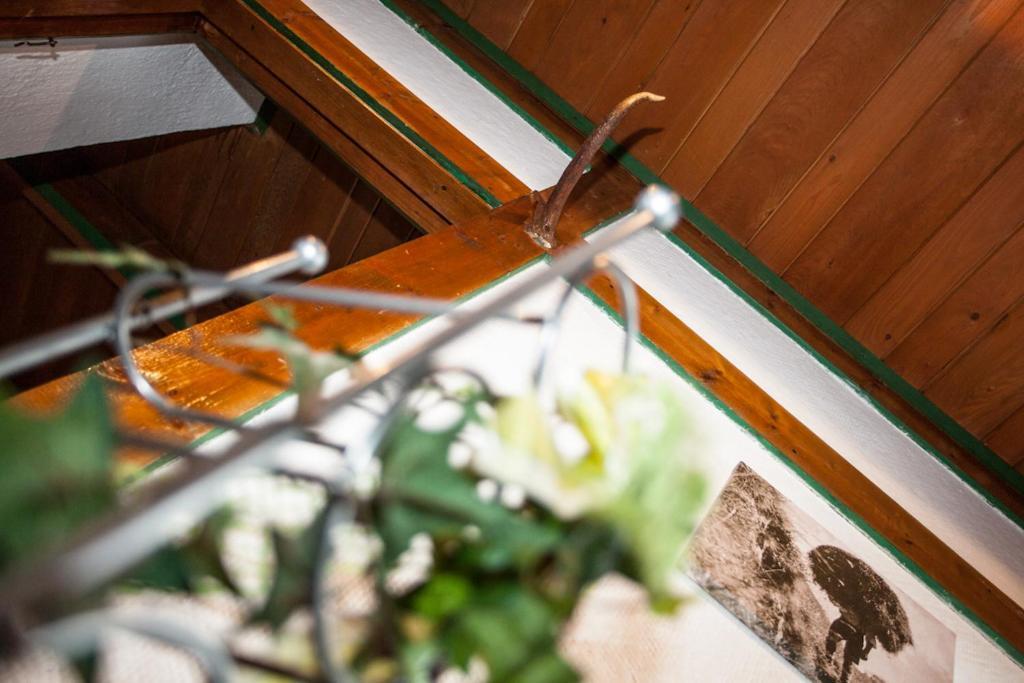 Chalet Appartement Alpenherz Saalbach-Hinterglemm Oda fotoğraf